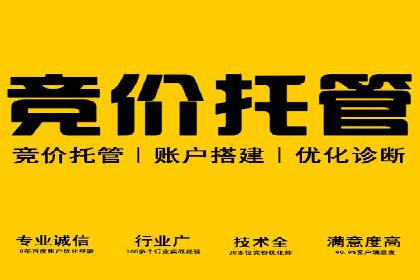 互联网公司SEM代运营成功案例剖析